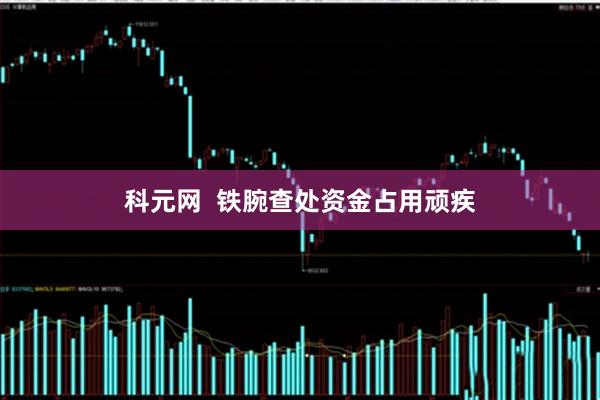 科元网  铁腕查处资金占用顽疾